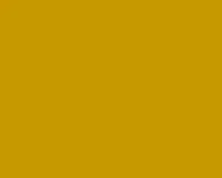 Solid mustard yellow background